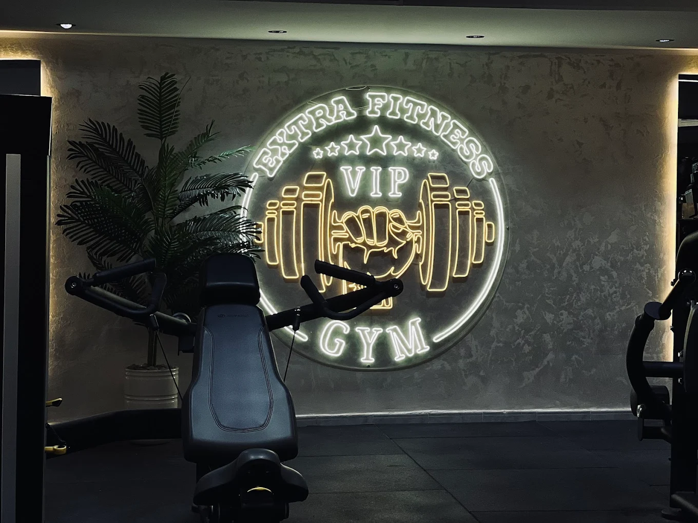 Logo néon Extra Fitness VIP Gym